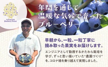 生ブルーベリー 400g 贈答用 国産 ブルーベリー