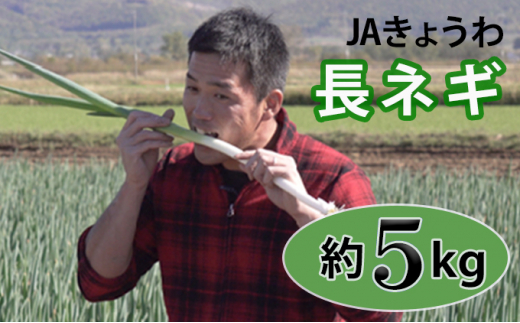 
JAきょうわ らいでん長ねぎ 約5kg
