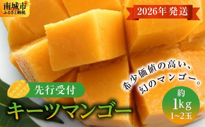 (先行受付)【2026年発送】キーツマンゴー 南城市 約1kg (1～2玉)