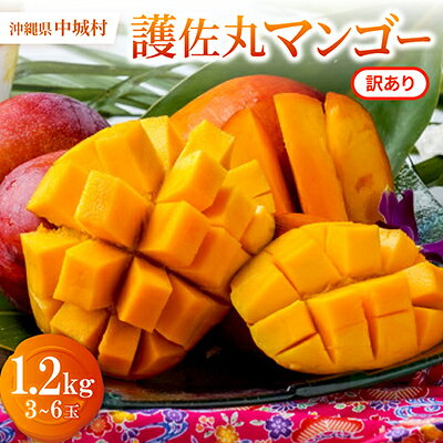 【ふるさと納税】【2027年6月から順次発送・訳あり】護佐丸マンゴー1.2kg(3～6玉)【配送不可地域：離島】【1676053】