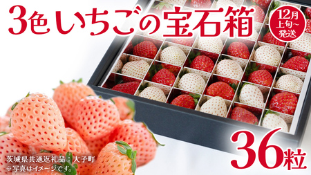 3色いちご の宝石箱36粒【2025年12月上旬発送開始】(茨城県共通返礼品：大子町)