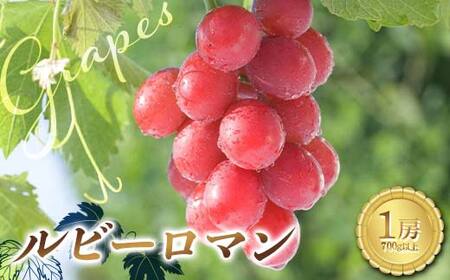 【高島屋選定品】ルビーロマン 一房 （700g以上）ぶどう 高級 ブドウ 葡萄 デザート フルーツ 果物 くだもの F6P-2833