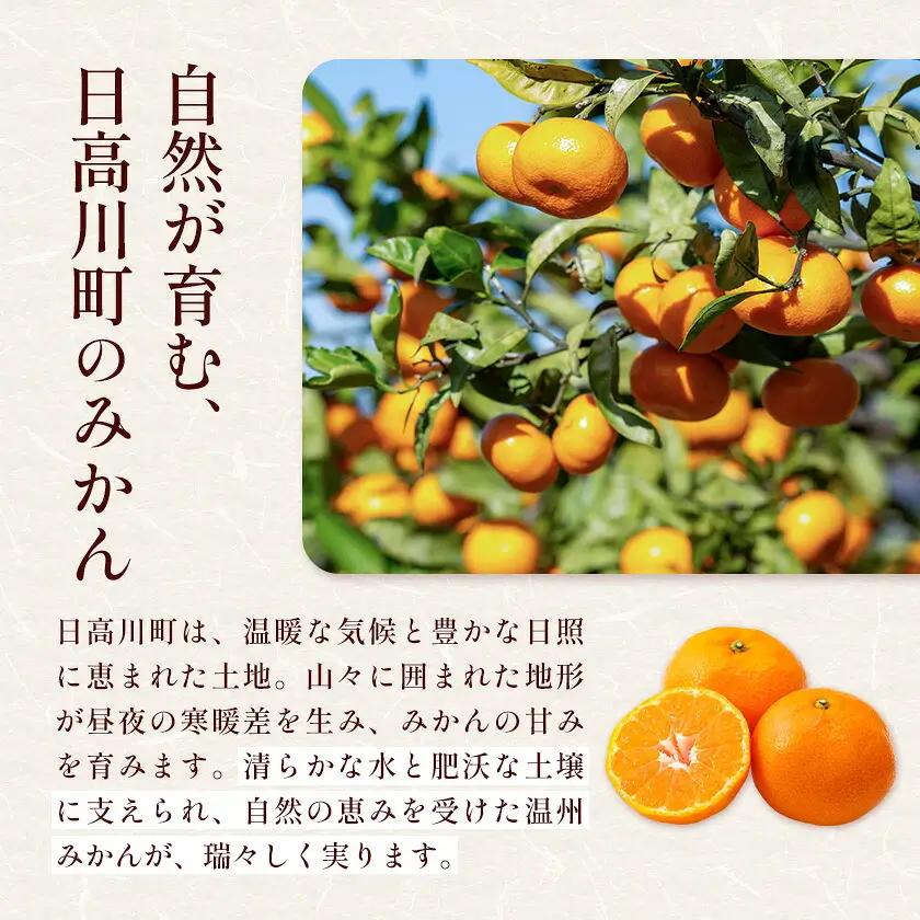 温州みかん 約5kg 秀品 亀井農園 みかん