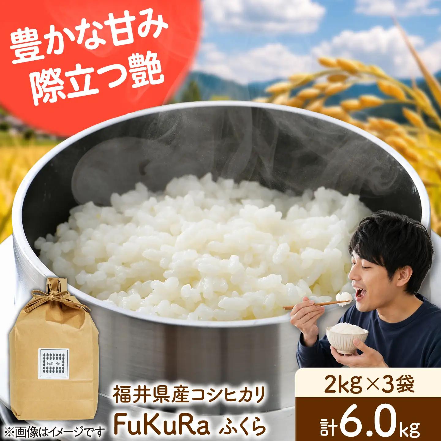 福井県産 こしひかり 『FukuRa』（ふっくら） 2kg×3袋 合計6.0kg[BFAV020]
