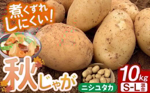 【先行予約】＜2025年12月〜1月発送＞長崎県産 秋作じゃがいも ニシユタカ 10kg 長崎県/オースタイルファーム株式会社 [42ALAD006] じゃがいも ポテト 長崎 雲仙 うんぜん 料理 煮込み カレー シチュー おでん じゃがちゃん 馬鈴薯 ばれいしょ ジャガイモ 野菜 ニシユタカ 秋 旬