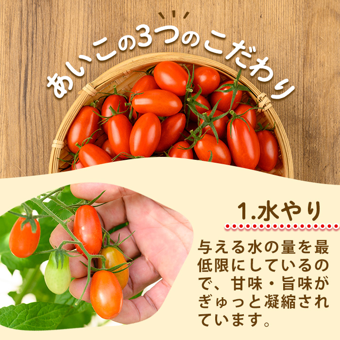 s612 《期間・数量限定》あいこフルーツトマト(計800g・200g×4パック) 鹿児島 国産 九州産 野菜 とまと トマト ミニトマト フルーツトマト サラダ 【吉祥庵園芸】