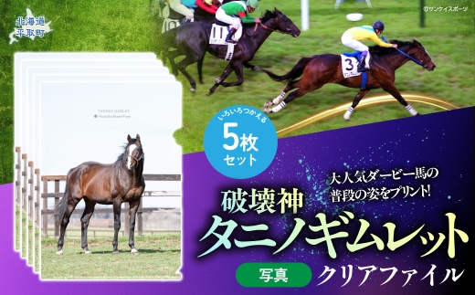 【破壊神タニノギムレット】クリアファイル5枚入り 【 ふるさと納税 人気 おすすめ ランキング 馬 競馬 競走馬 引退馬 タニノギムレット ファイル クリアファイル 事務用品  日用品 日高 北海道 平取町 びらとり 送料無料 】 BRTV112