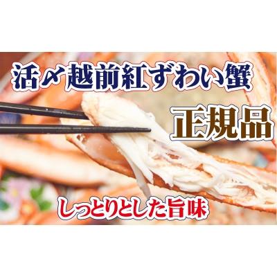 ふるさと納税 越前町 活〆 越前 紅ずわいがに × 1杯 旨味満載!! ≪浜茹で≫【12・1月発送分】 |  | 01