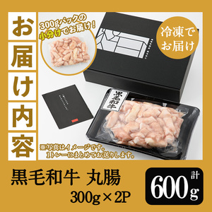 鹿児島県産黒毛和牛ホルモン 丸腸 約600g(300g×2P) 国産 鹿児島県産 黒毛和牛 モツ もつ鍋 焼肉 ホルモンミックス お取り寄せ 冷凍 生冷凍【A-1739H】