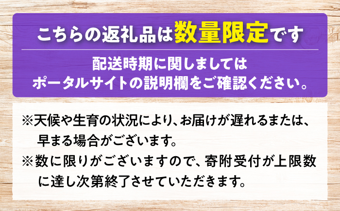 【2026年先行予約】みらさかピオーネ（露地栽培）2kg 4から5房入 ＜8月下旬頃から順次発送＞ フルーツ ギフト ピオーネ ぶどう 果物 三次市/みらさかピオーネ直売所 [APBE004]