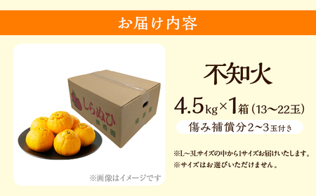 先行予約 不知火 計4.5kg 傷み補償分付き 期間限定 果物 くだもの フルーツ 蜜柑 ミカン 柑橘 おやつ デザート みかんジュース ゼリー シャーベット おすすめ おすそ分け 国産 食品 産地直