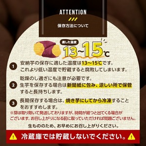 n386 ＜期間・数量限定セット！先行予約受付中！2025年9月下旬頃から12月中の発送予定＞種子島産 安納芋＜黄金＞(3kg)＆安納芋チップス1袋セット 国産 安納芋 黄金 こがね コガネ 種子島 