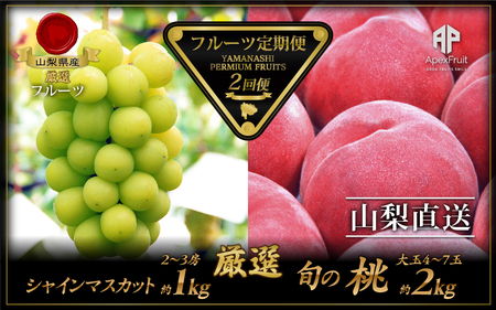 ＜2026年発送＞厳選！南アルプス市産　『フルーツ定期２回便』  | シャインマスカット 桃 もも