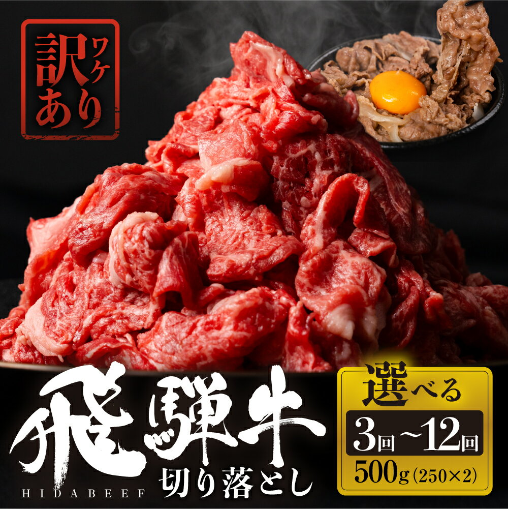 【ふるさと納税】【定期便】回数を選べる　全3回or6回or12回　飛騨牛 切り落とし 500g(250g × 2） 訳あり 肉 お肉 柔らか 黒毛和牛 和牛 人気 おすすめ 牛肉 鍋 牛丼 ギフト 切り落し お取り寄せ 白川郷 すき焼き しゃぶしゃぶ 訳アリ だるまミート [s931] 30000円
