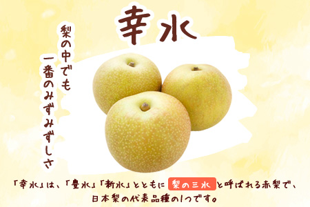きのみ農園の吉野梨（幸水）3kg 6個～7個 熊本県氷川町産 きのみ農園《7月下旬-8月上旬頃出荷》