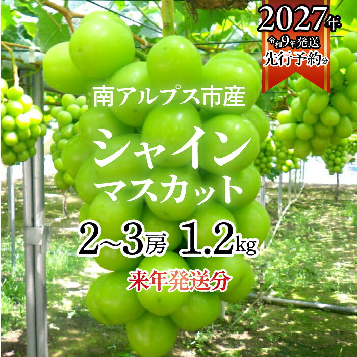 【ふるさと納税】★フジテレビ系列「ノンストップ」で取り上げられました！★＜2027年発送先行予約＞南アルプス市産シャインマスカット1.2kg以上（2～3房）ふるさと納税 おすすめ 山梨県 南アルプス市 送料無料 ALPAG007
