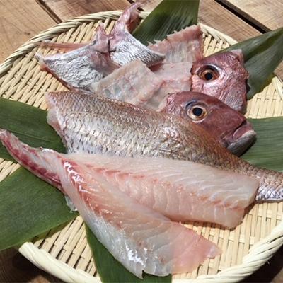 ふるさと納税 八幡浜市 鯛三昧〜八幡浜産・真鯛まるごとセット〜【C14-8】 |  | 02