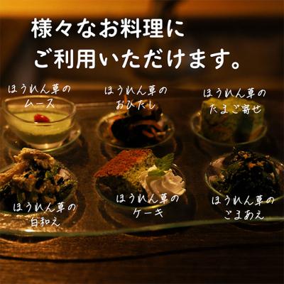 ふるさと納税 高原町 宮崎県産ほうれん草 大容量10kg　特産品開発590 |  | 01