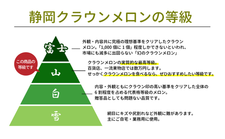 メロン クラウンメロン 山等級 1.4kg以上 2玉 メロン