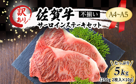 佐賀牛 サーロイン ステーキ 佐賀牛【5kg(250g×2枚入×10p)】【A4〜A5 訳あり】