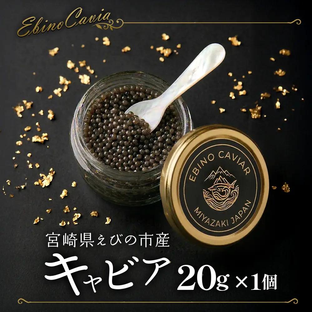 【ふるさと納税】キャビア 国産 20g 冷蔵 宮崎県 えびの市産
