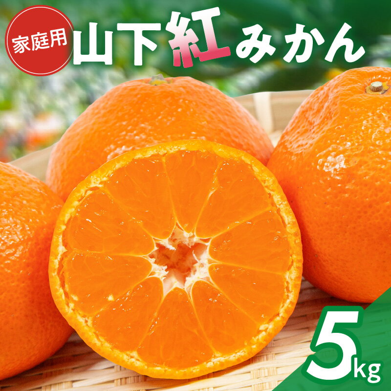 【ふるさと納税】【数量限定】辻本農園 訳あり 山下紅みかん 家庭用 5kg キズあり【栽培が難しく市場に出回りにくい幻のみかん】