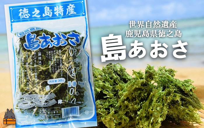 《2026年とれたて！》煌きの海からの恵み！島あおさ（1袋）【ポストイン配送】 ( アオサ あおさ のり 海苔 乾物 徳之島 奄美 鹿児島 お味噌汁 料理 てんぷら 卵焼き 美味しい 新鮮 )