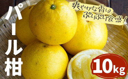 【2027年先行予約】パール柑 10kg 都呂々みかん生産者グループ《2027年3月上旬-4月中旬頃出荷予定》 フルーツ 果物 くだもの 柑橘 みかん ミカン 蜜柑