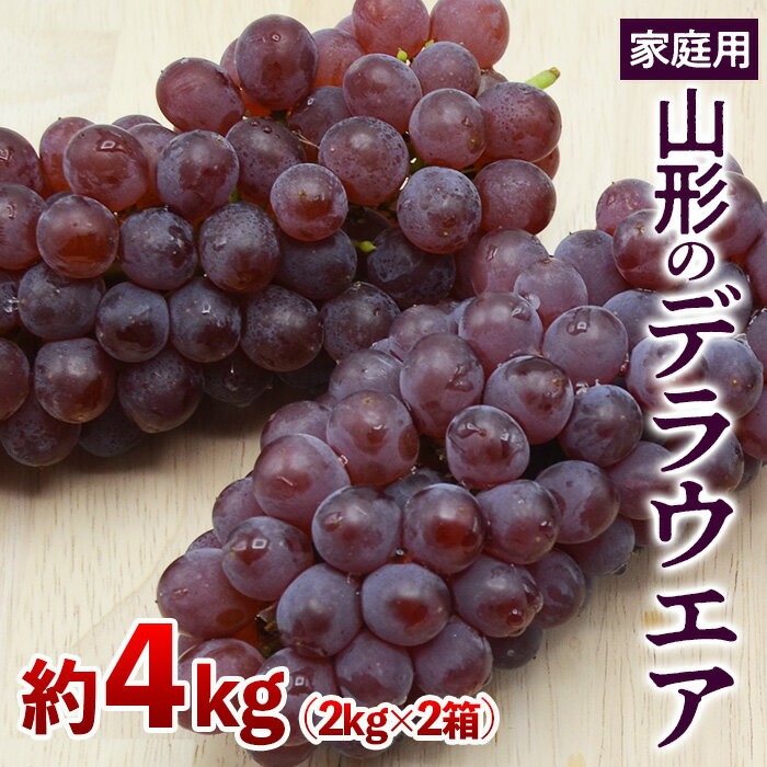 【ふるさと納税】【ご家庭用】山形のデラウエア M〜3L 約4kg(18〜40房)[粒サイズおまかせ] 【令和7年産先行予約】FS24-570 くだもの 果物 フルーツ 山形 山形県 山形市 お取り寄せ 2025年産