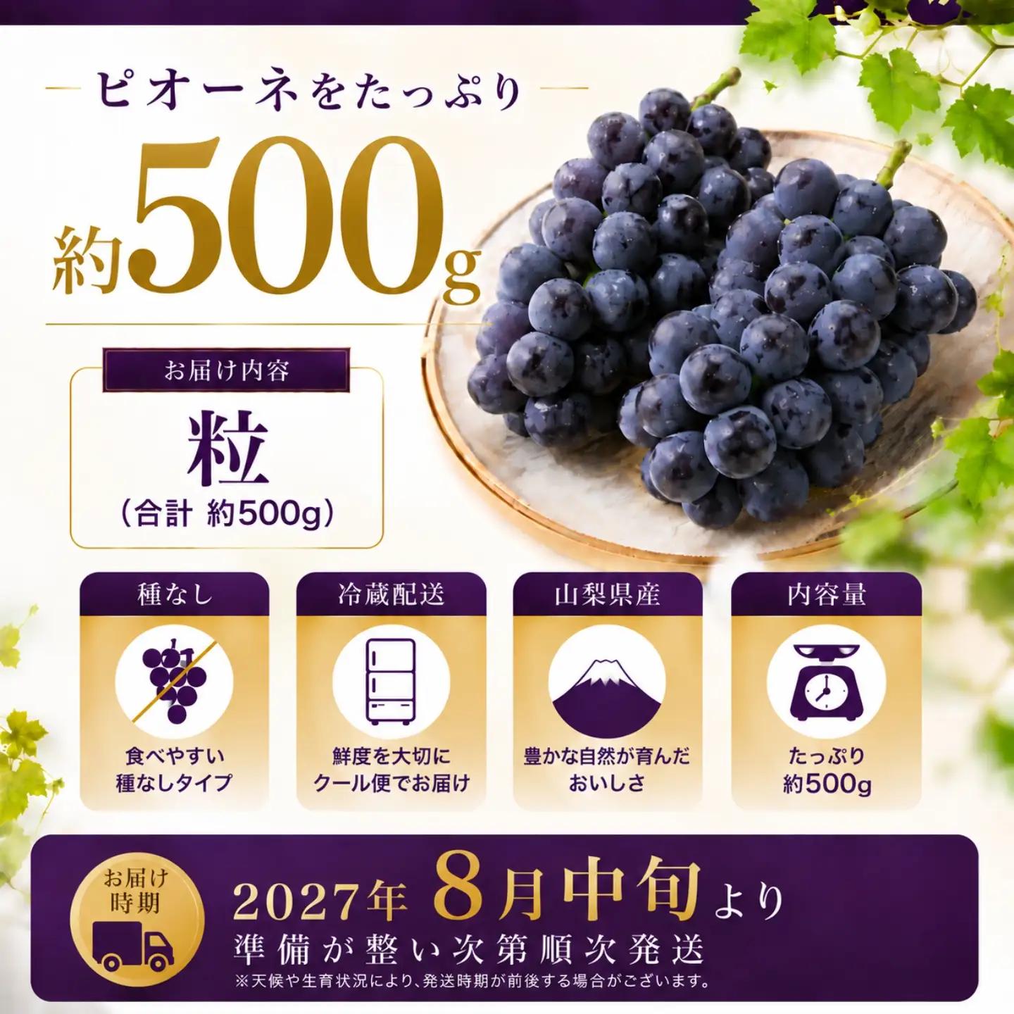 【2027年先行予約】ピオーネ 500g （粒）