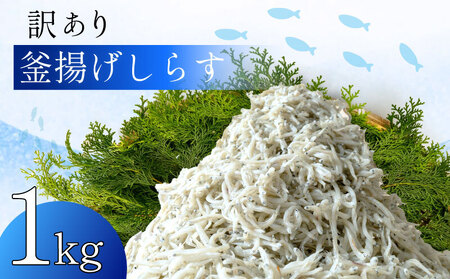 しらす 訳あり 釜揚げ 500g 2パック 計1kg しらす