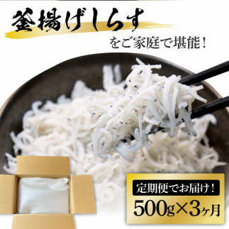 t206kgp　《3ヶ月定期便》高知県産釜揚げしらす500g 定期便 定期コース 3回 簡易梱包 シラス 小分け 国産 釜揚げ しらす丼 海鮮丼 お茶漬け ごはん 軍艦巻き 冷凍配送 おかず おつまみ