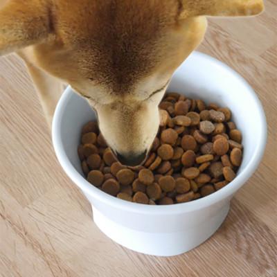 ふるさと納税 瑞浪市 美濃焼 陶器製ペット用フードボウル【丸高台プレーンフードボウル(M/ブラック)pet112】 |  | 01