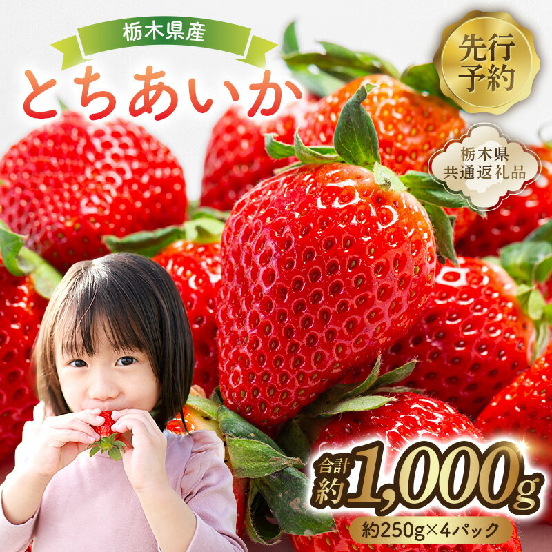 【ふるさと納税】 【先行予約】 栃木県産 とちあいか約250g×4パック 【栃木県共通返礼品】 いちご とちあいか 国産 オリジナル品種 甘味 香り ブランド 果物 フルーツ お取り寄せ 栃木県 那須塩原市