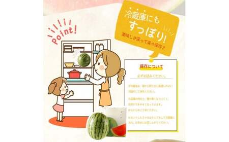 紀州和歌山産 小玉スイカ「ひとりじめ」 1玉	【2024年6月上旬以降発送】