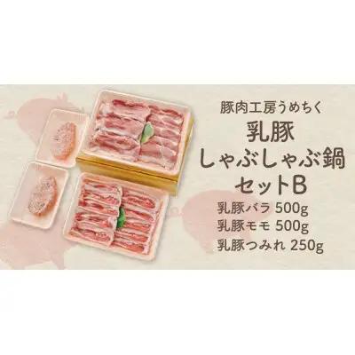 Y04-05 乳豚しゃぶしゃぶ鍋Ｂセット(バラ・モモ・つみれ) 豚肉