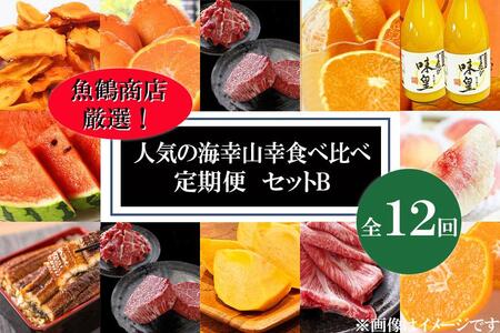 【魚鶴商店厳選！】人気の海幸山幸食べ比べ【定期便全12回】セットB