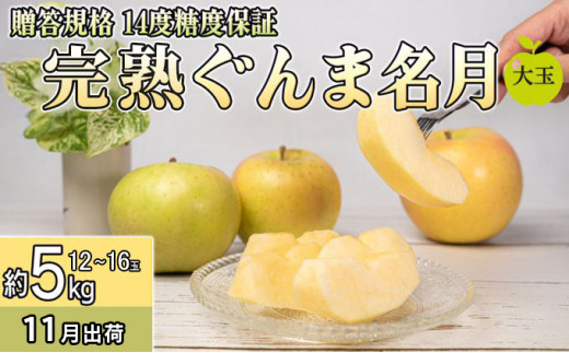 11月 贈答規格 完熟大玉ぐんま名月約5kg（12～16個）14度糖度保証【青森りんご・ゆうきアップル・11月】 果物類 果物 フルーツ ジューシー