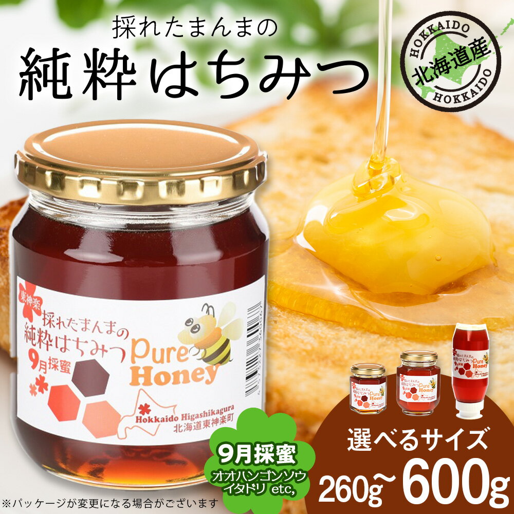 【ふるさと納税】東神楽産採れたまんまの純粋はちみつ 選べる260g〜600g【9月採密】オオハンゴンソウ・イタドリ etc.はちみつ ハチミツ 蜂蜜 国産 非加熱 完熟 調味料 ハニー 純粋 東神楽ふるさと納税 北海道ふるさと納税