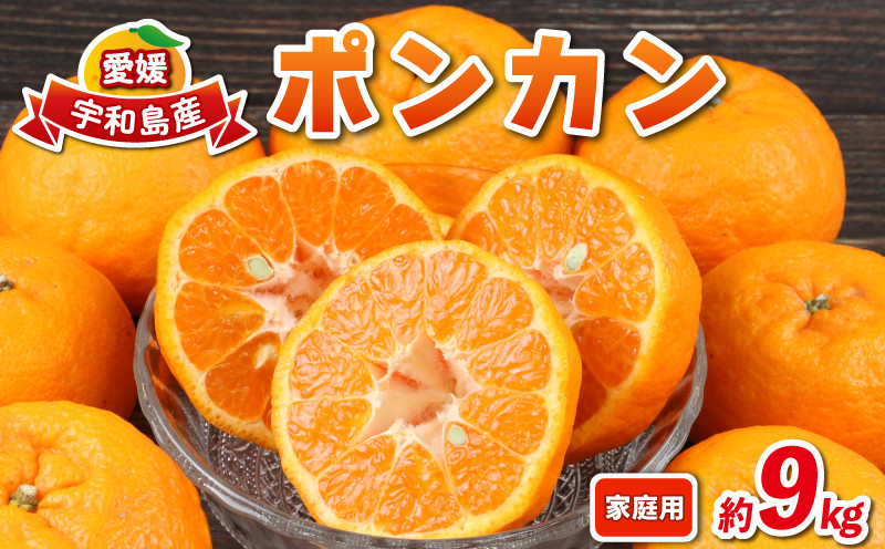 
                  愛媛みかん ポンカン 9kg 家庭用 兵頭農園 みかん ぽんかん mikan 愛媛ミカン 愛媛蜜柑 果物 くだもの フルーツ 柑橘 甘い ジューシー 果肉 蜜柑 産地直送 農家直送 数量限定 国産 愛媛 愛媛県産 宇和島 B015-055003
                