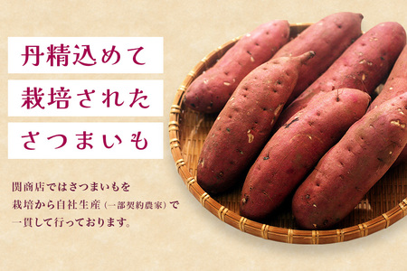 【期間限定】 紅はるか 食べ比べセット（焼き芋3kg・干し芋660g）関商店 焼芋 やきいも 焼いも ほしいも 干芋 干しいも べにはるか ベニハルカ 食べくらべ 62-B ＜2027年4月20日まで