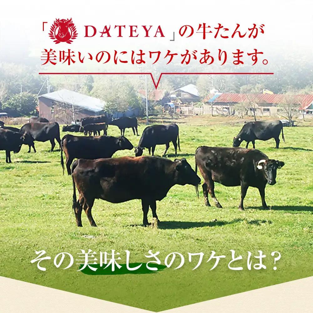 【定期便2回】【本場仙台専門店の味】牛タン 切り落とし 250g ｜ 牛タン