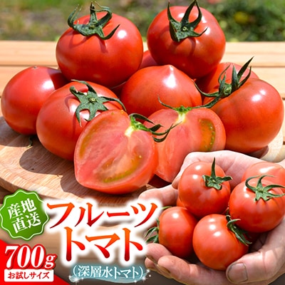 お試しサイズ!フルーツトマト「深層水トマト」約700g【濃厚な甘みと旨み】【配送不可地域：離島】