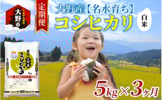 【3ヶ月定期便】【令和7年産 新米】大野産コシヒカリ（白米）5kg×3回 計15kg【大野ブランド米 名水育ち】