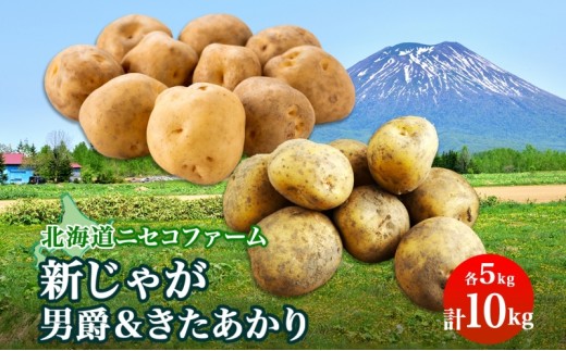 
                  北海道産 越冬 じゃがいも 2種 詰め合わせ 男爵 きたあかり 各5kg 計10kg M-L サイズ混合 芋 ジャガイモ いも 野菜 お取り寄せ キタアカリ ニセコファーム 送料無料 北海道 倶知安町 北海道のジャガイモ 食品 
                