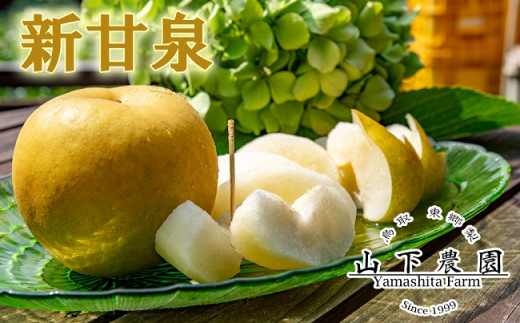 201M.湯梨浜東郷産 新甘泉5kg