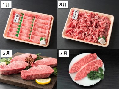 伊万里牛食べつくし 定期便 6回便  モモスライス入り ヒレステーキ 15万円コース J252