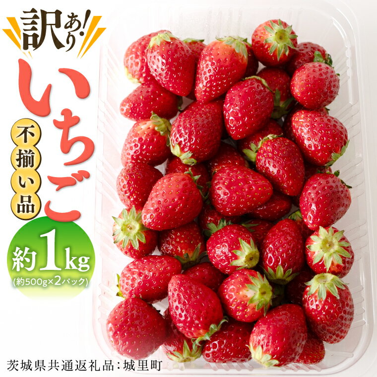 【ふるさと納税】【訳あり】いちご 1kg 【2026年1月から発送開始】（茨城県共通返礼品 [いちご]：城里町産） いちご 苺 イチゴ 訳あり