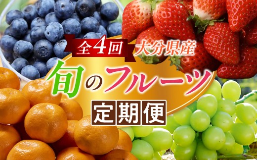
                  大分県産 旬のフルーツ定期便 ＜計4回お届け＞ 数量限定 ブルーベリー シャインマスカット 温州みかん 大分いちご みかん ミカン 蜜柑 いちご イチゴ 苺 フルーツ くだもの 果物 果実 デザート 大分県産 国産 T10100
                