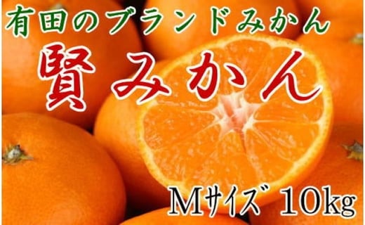 
            [秀品]有田のブランド「賢みかん」10kg(Mサイズ)【2025年11月中旬頃より順次発送】
          